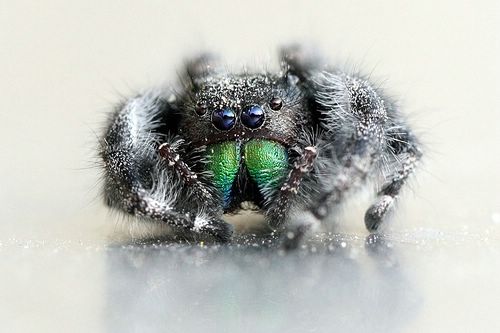 صور : الملح والسكر .. في روائع فليكر - ج1