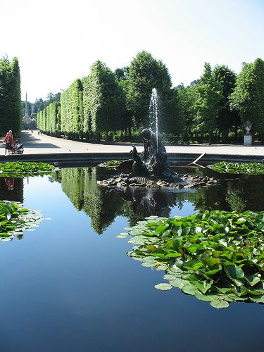 صور : الملح والسكر .. في روائع فليكر - ج1