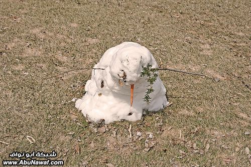 صور + فيديو : موغوموغو - بروك دافيز