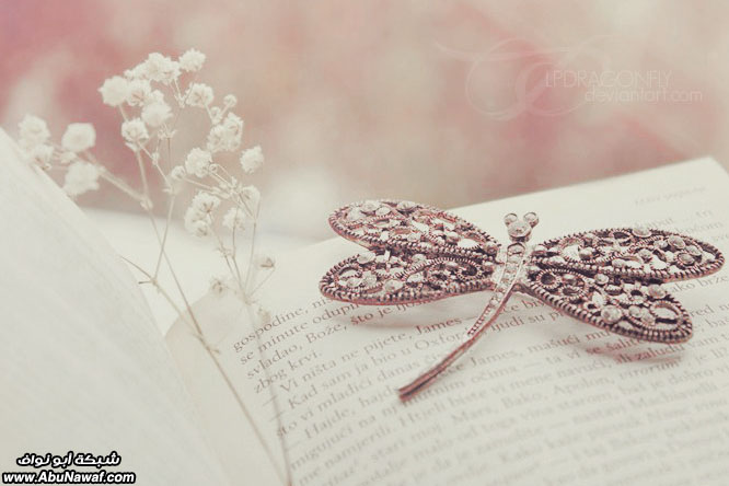 إرتوآء .. 18 .. ‎[لـ نتحلى بسجية قوم يرحمهم الرحمن ]‎