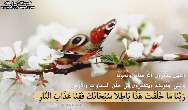 إرتوآء .. 18 .. ‎[لـ نتحلى بسجية قوم يرحمهم الرحمن ]‎