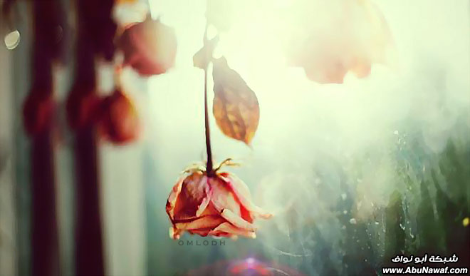 إرتوآء .. 18 .. ‎[لـ نتحلى بسجية قوم يرحمهم الرحمن ]‎