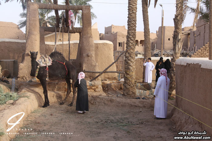 تقرير مصور : تراث المجمعة