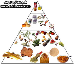 food-pyramid-color1.