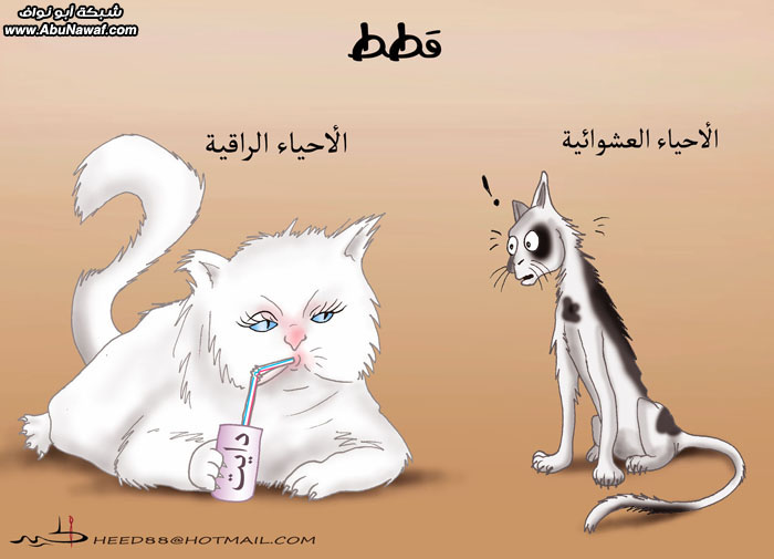 كاريكاتير : سلاطين العرب مع الفيس بوك