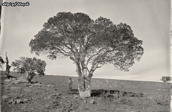 صور من الغرب الامريكي قبل 150 سنة