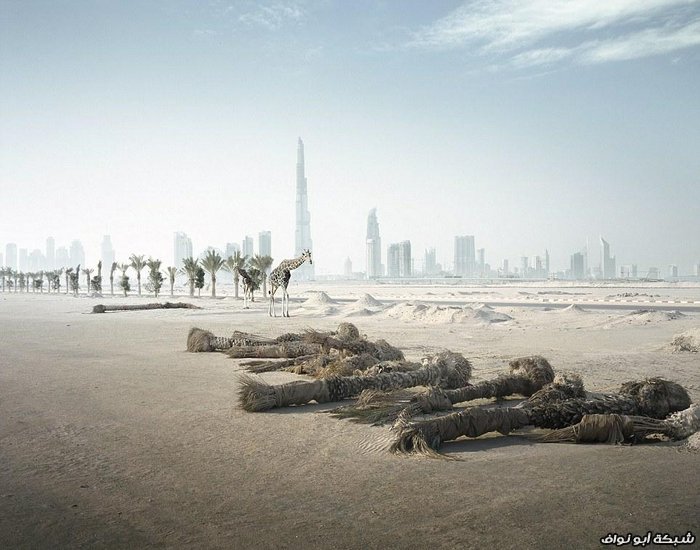 موت دبي
