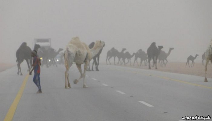 صور : رحلة سريعة لدولة قطر 