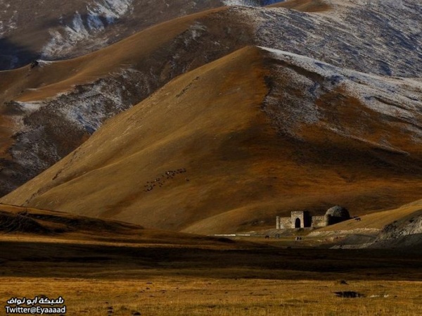 صور حول العالم : اليوم العالمي للسكان + جنوب قيرغستان الساحرة .. والمزيد
