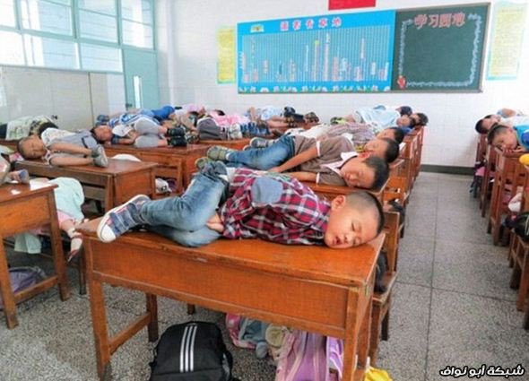 صور : طلاب صينيين ساحبينها نومة في الفصل