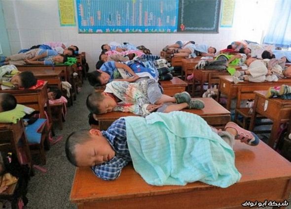 صور : طلاب صينيين ساحبينها نومة في الفصل