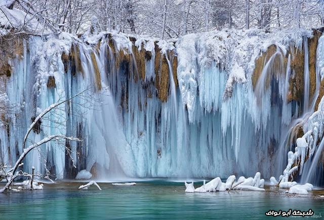 نقره لعرض الصورة في صفحة مستقلة