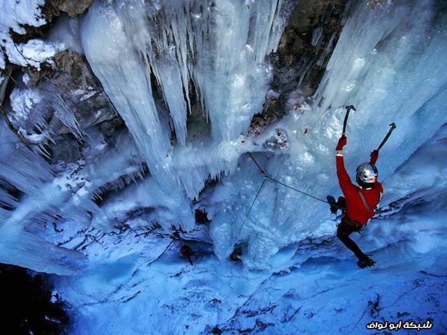 نقره لعرض الصورة في صفحة مستقلة