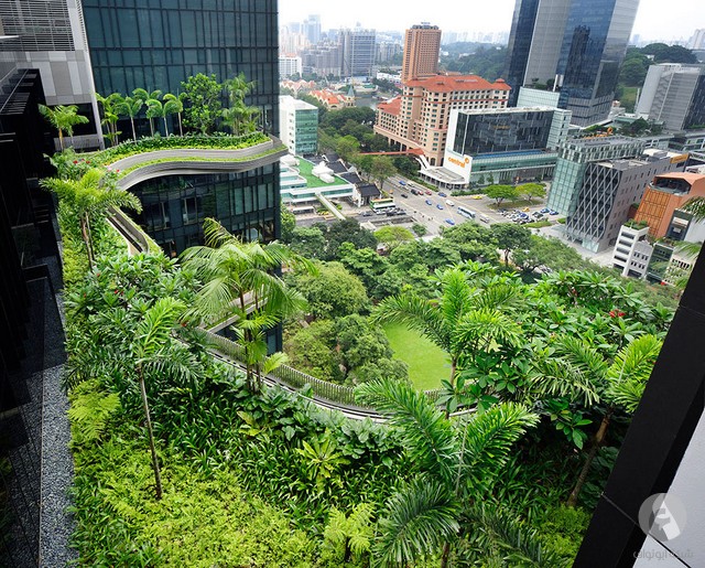 تحفة معمارية في سنغافورة - الفندق الحديقة (26 صورة)