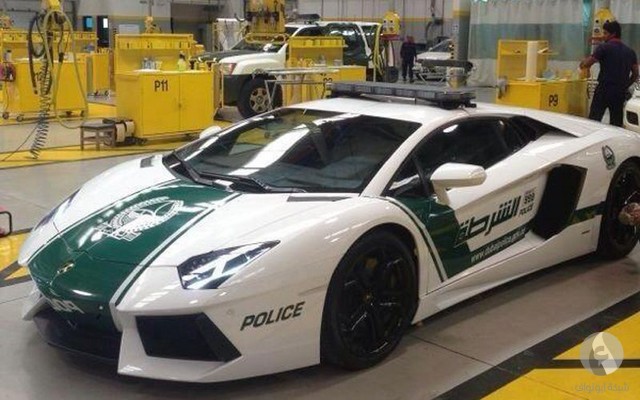 سيارة شرطة دبي